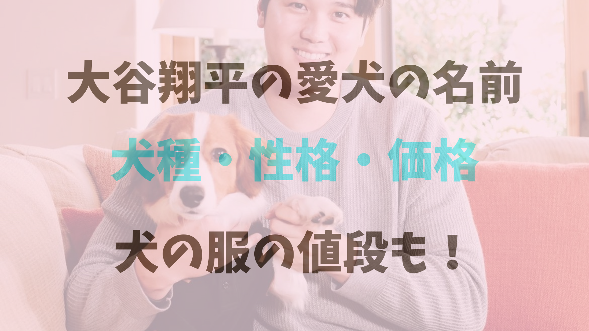 大谷翔平の愛犬の名前犬種・性格・犬の服の値段